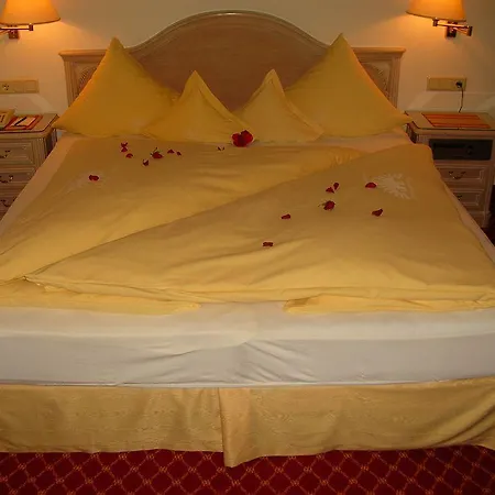 Schwarzer Adler 4* Инсбрук