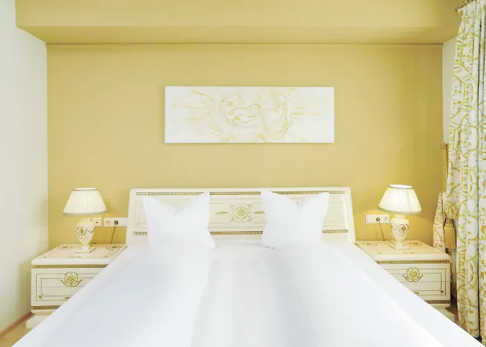 شوارزر أدلر 4* إنسبروك