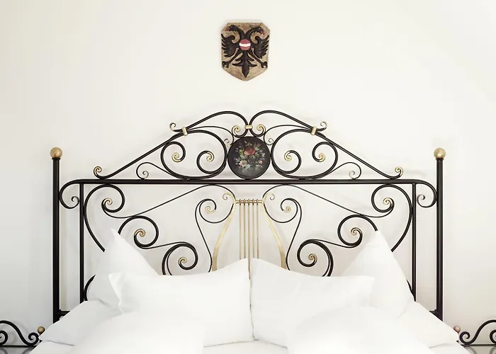 شوارزر أدلر 4* إنسبروك