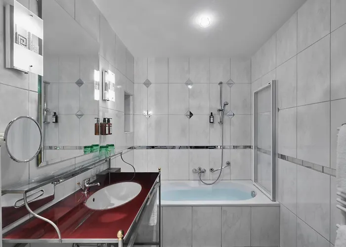 شوارزر أدلر 4* إنسبروك