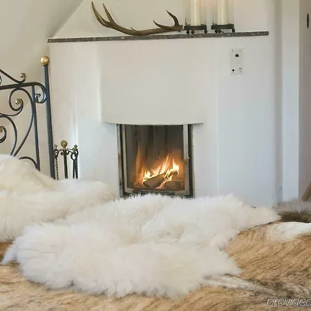 酒店 施沃泽阿德勒因斯布鲁克酒店